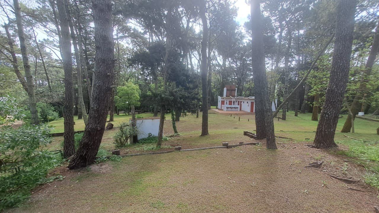 8b2d39bf65871746eae2fe6053f50f6d