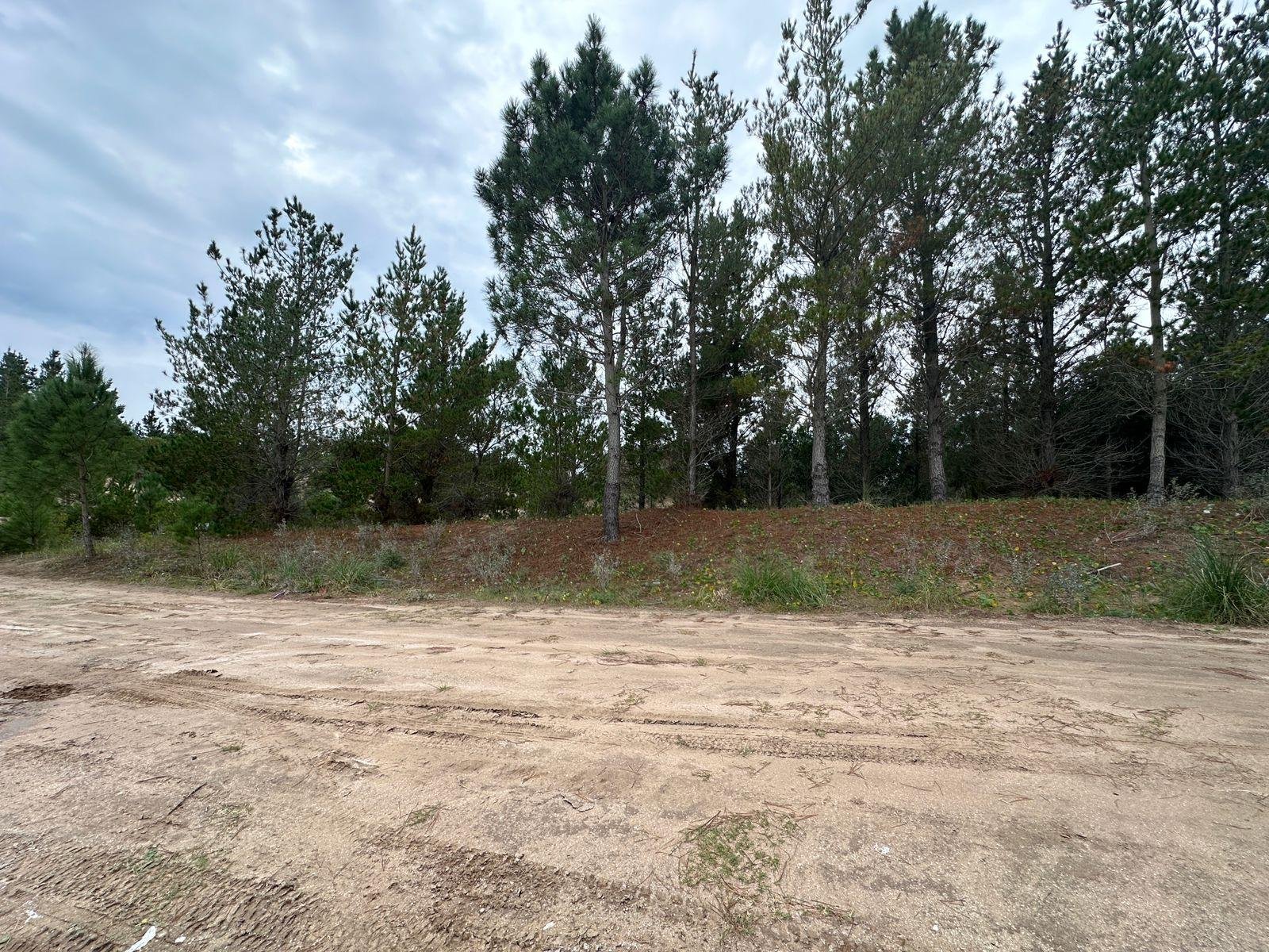 8bfb9836d51d033ae79cac2d3cc31a39