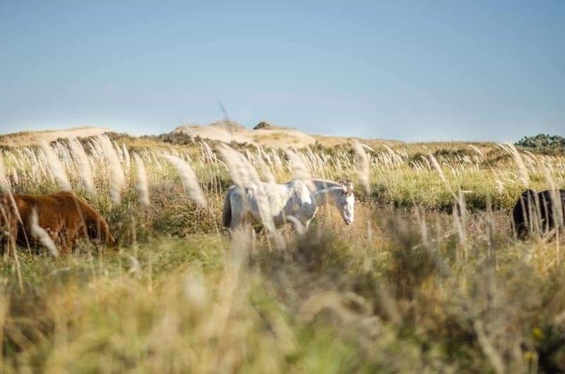 8c22deff68bfe2c8d86bdfeb092609a2