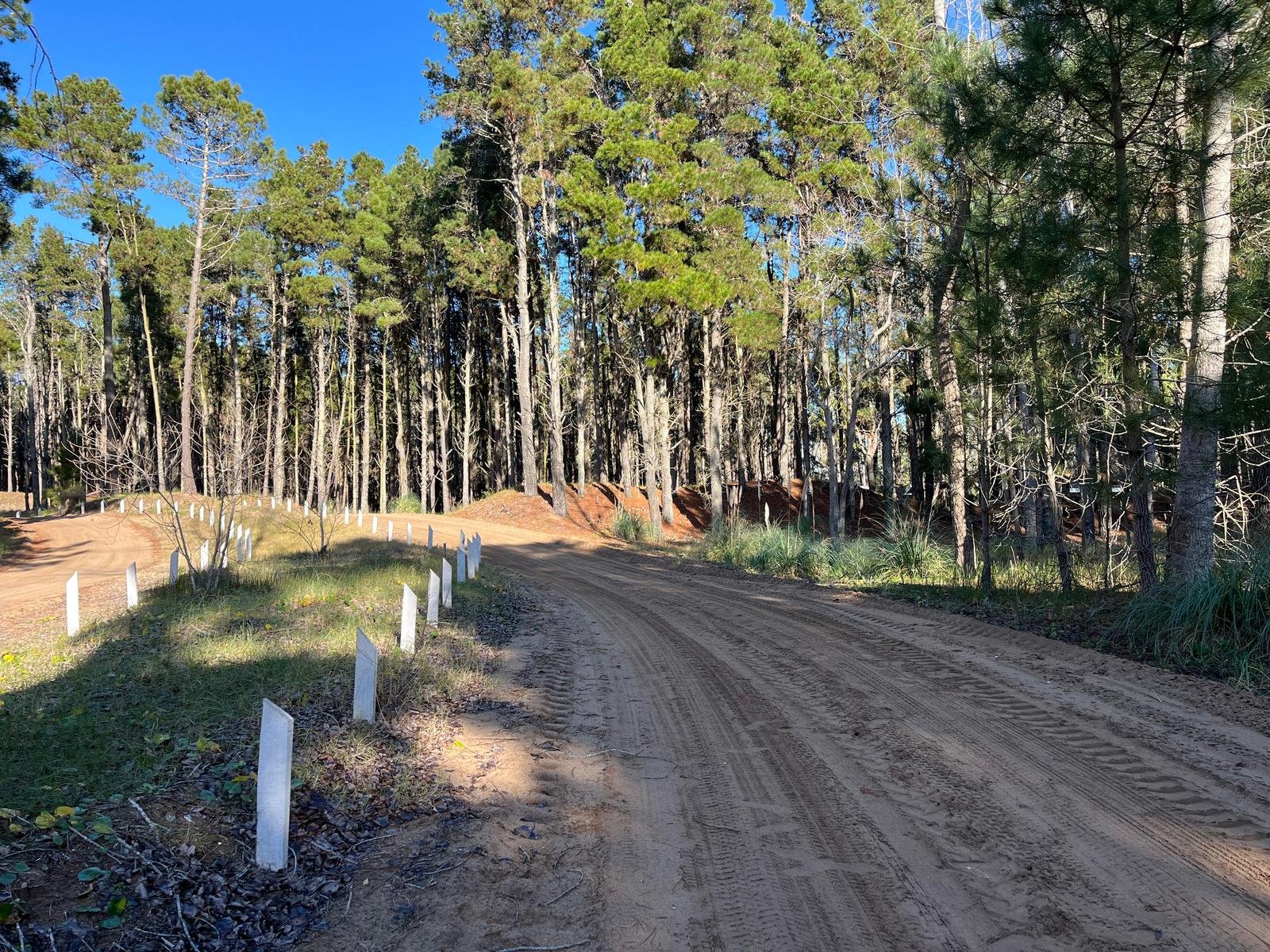 8c8594ec98bf0fe4817d34a5d22671d2