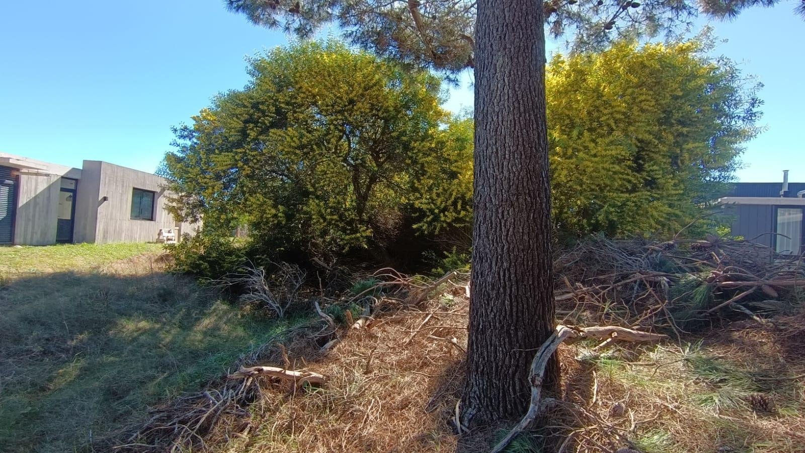 8cbf2017719a348ba950d3818fa54da0