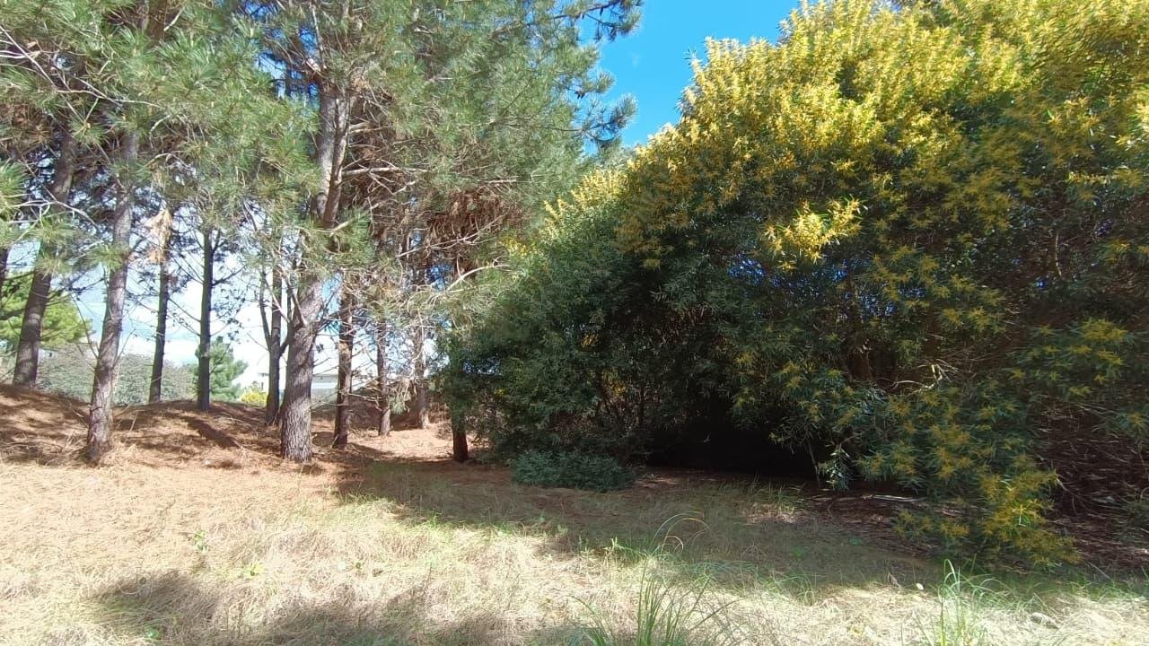 8d00878909cb95abe2c4d5744cf1d1a3