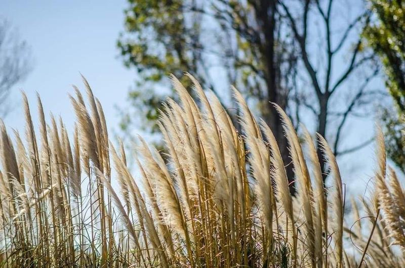 8dc43c4c40fdbbb17e453450c7db1351