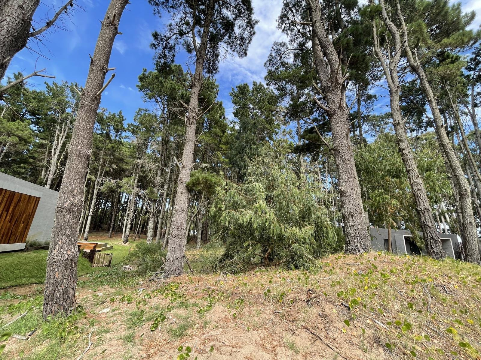 8ec499e9c9d0877aa68cfe2fa12841ca