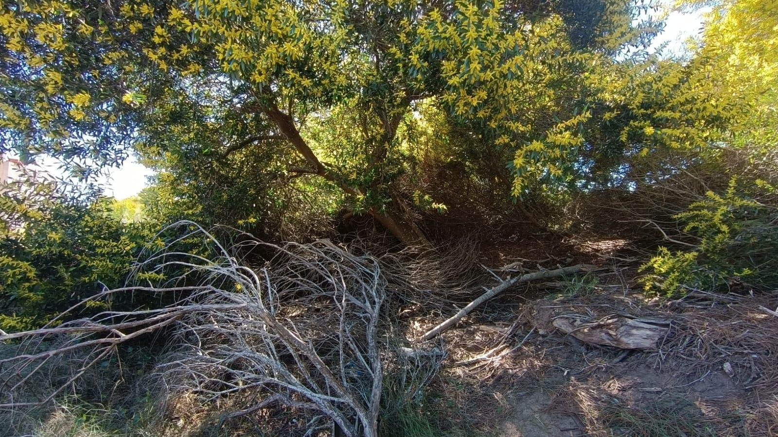 90692e4006f3fb629647c3d5279bc0c5