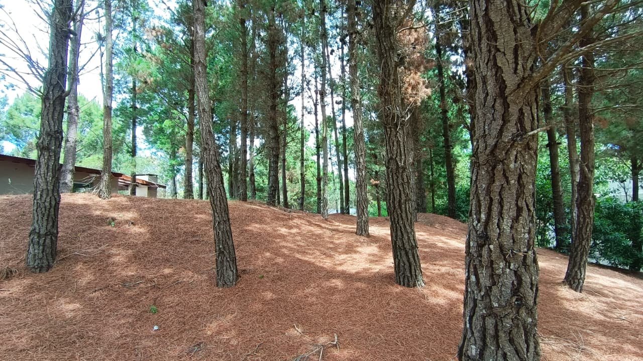 919e3dce4ef94eed2d426fc250d73719