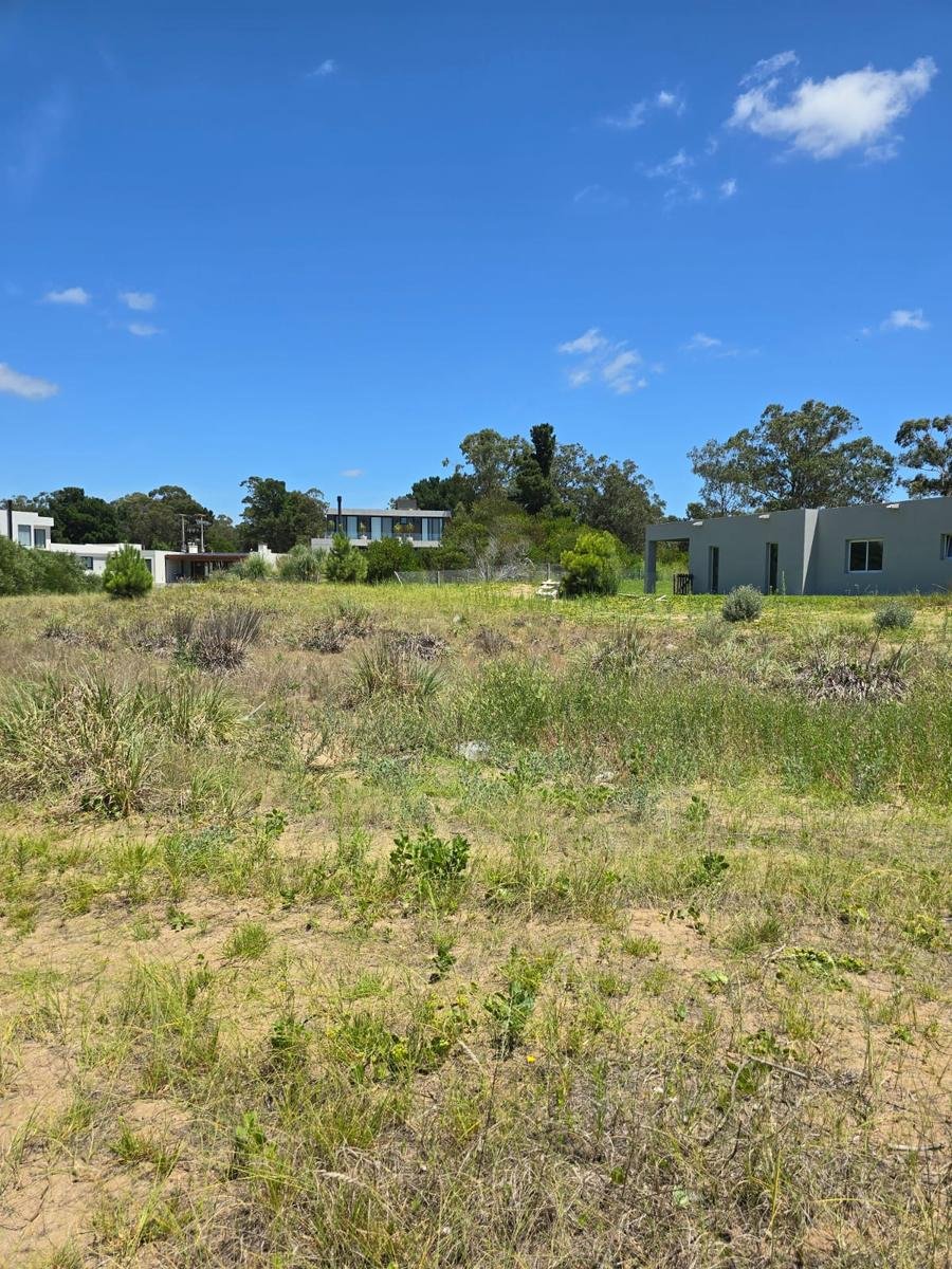 93ccb2ad3e310aba766c010ecc6e039c