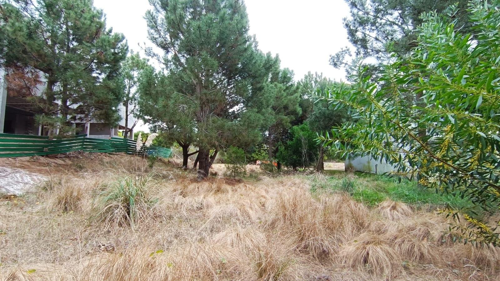 953a917c8f28ad16019bb979dac12089