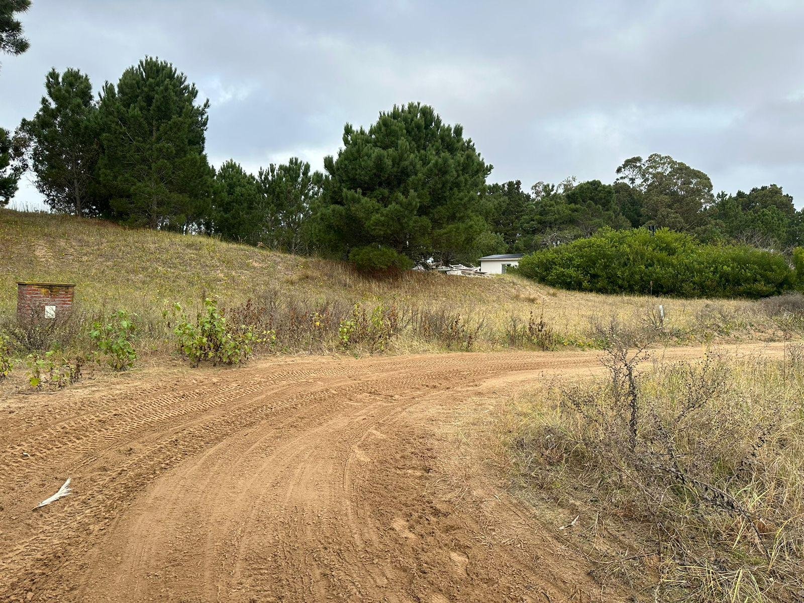 956d294e33c49c393839997027773195