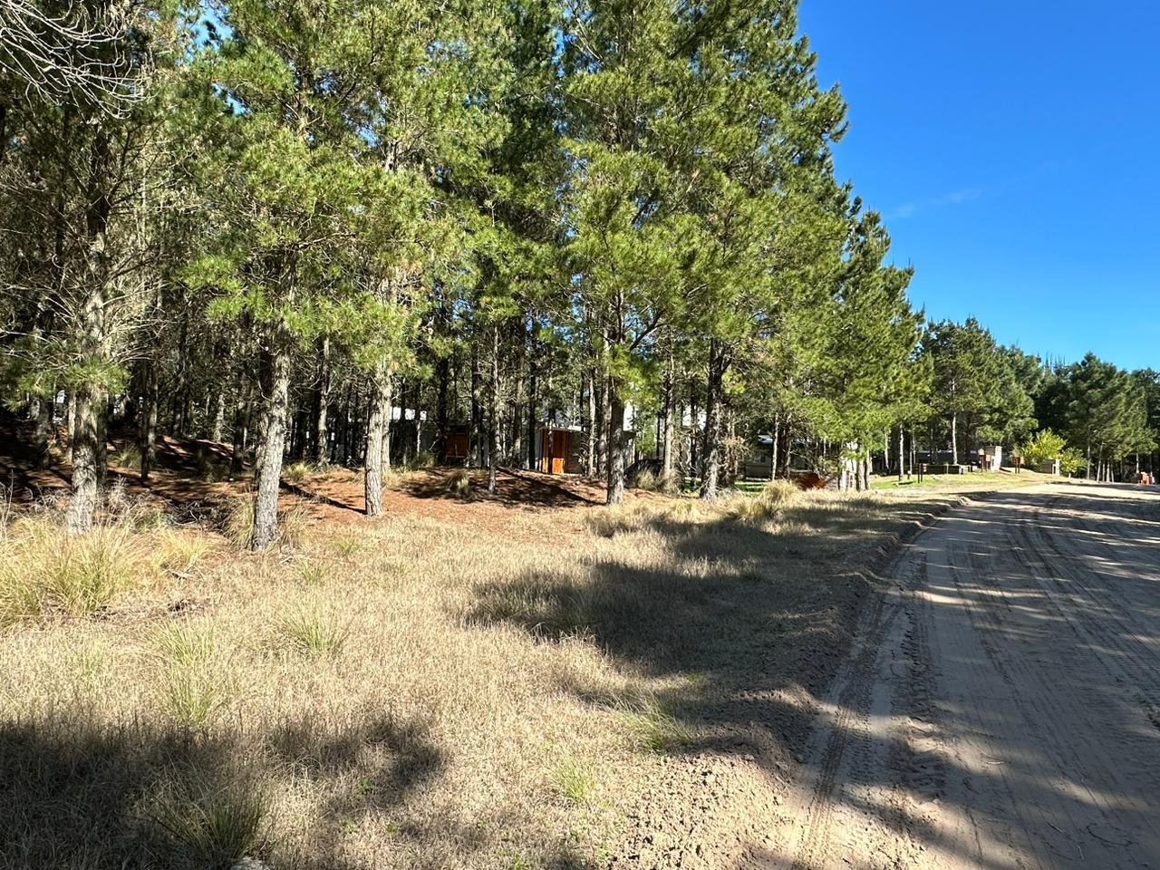 9593ff0df1bf8098fc58b4e7a6a98cad