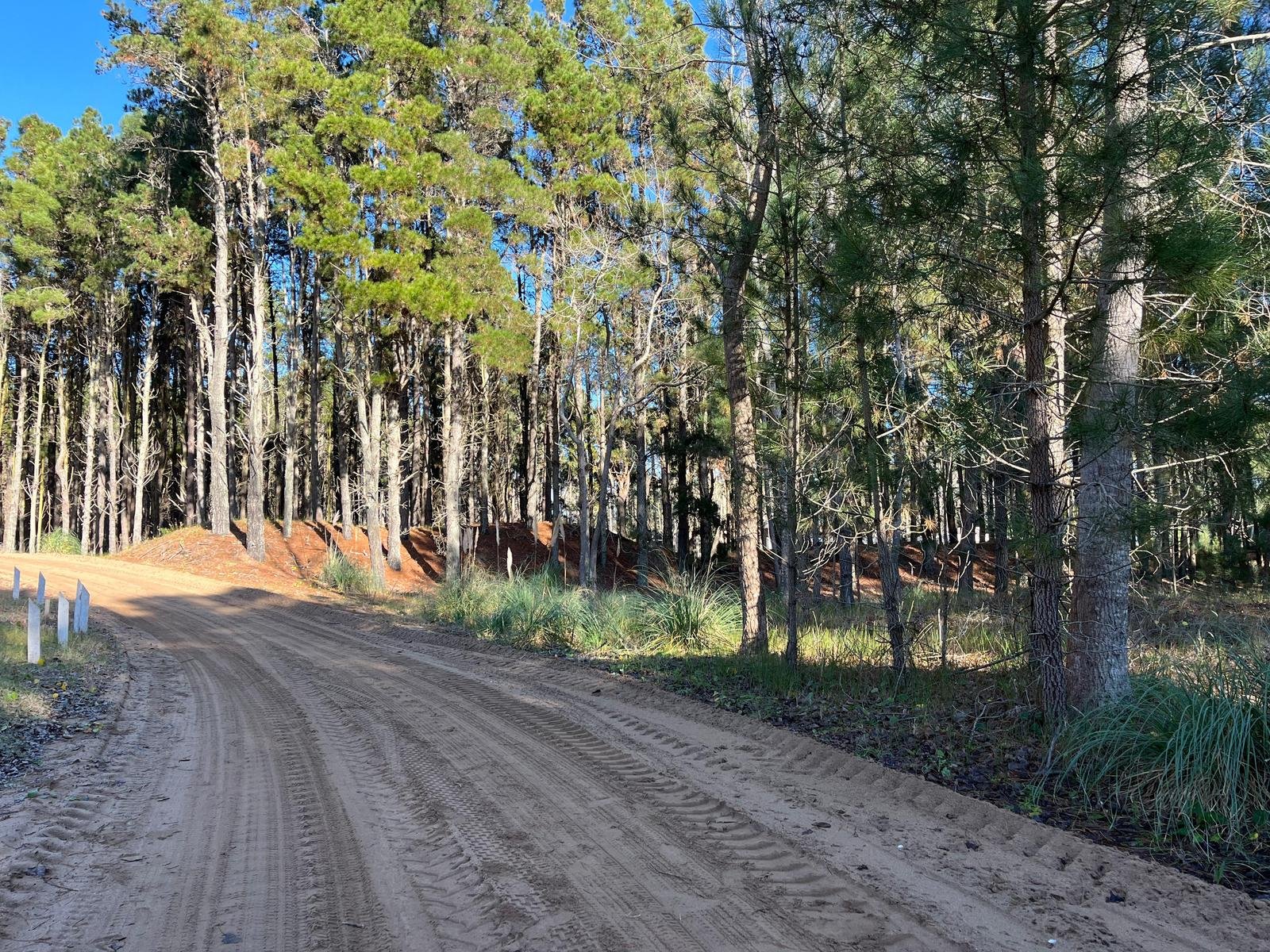 969bf4cfe8966499dbab9918a855960b