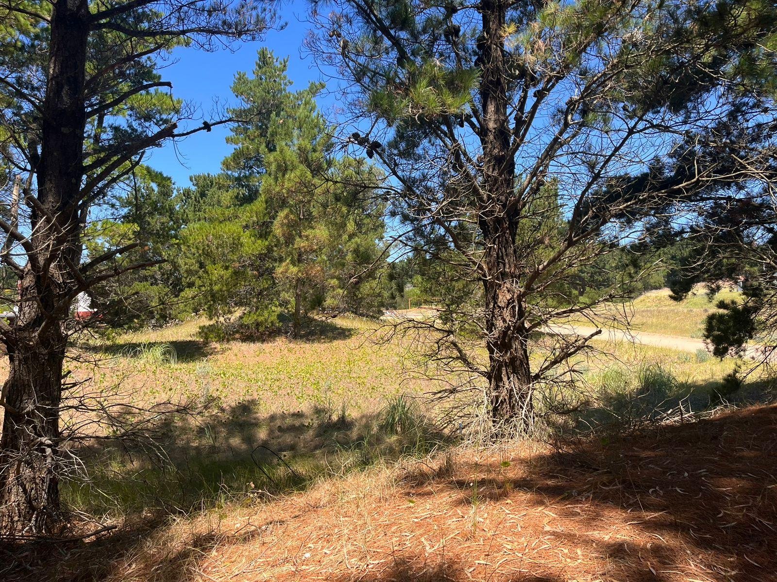 993ead3612414d5fd588337c6422ba2c