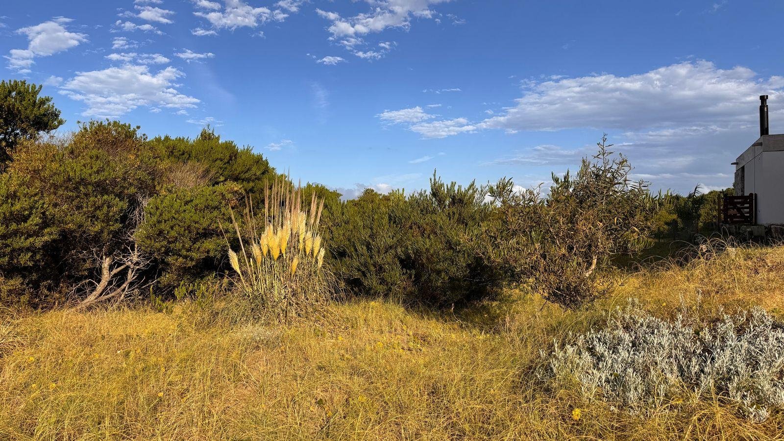 9bc76400f34dfcef564173eb6639cc80