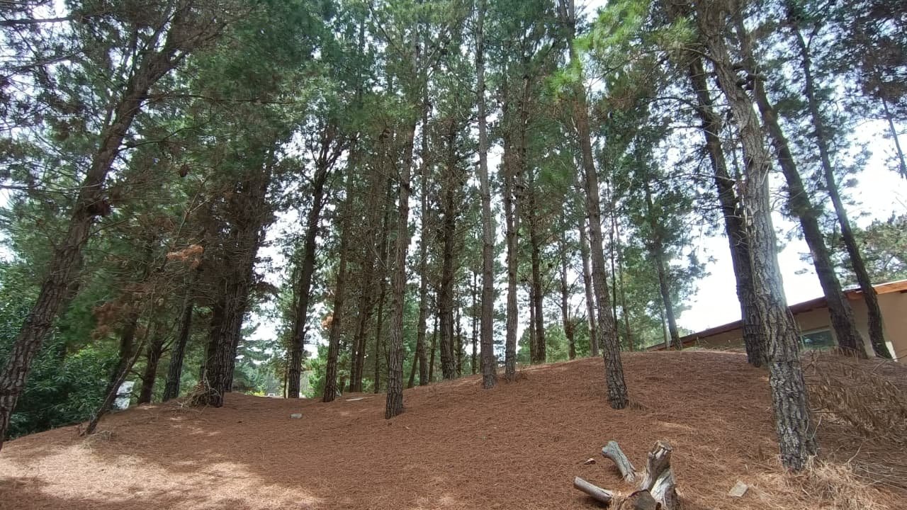 9c6b717ea306352d009d9113ab154abd