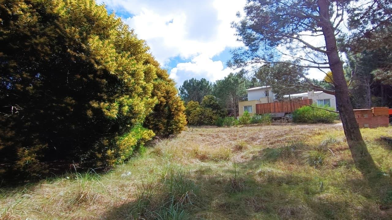 9d7b7db6a30324e12248459e42a8d70e