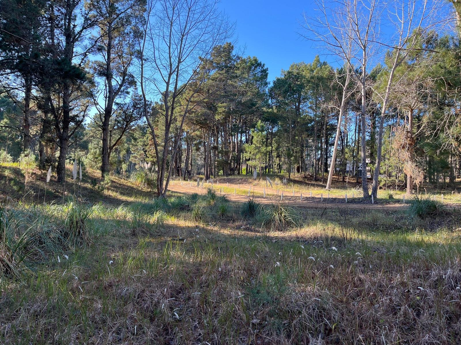 9d7ecf0aadac6660a3ab2a92271b5589