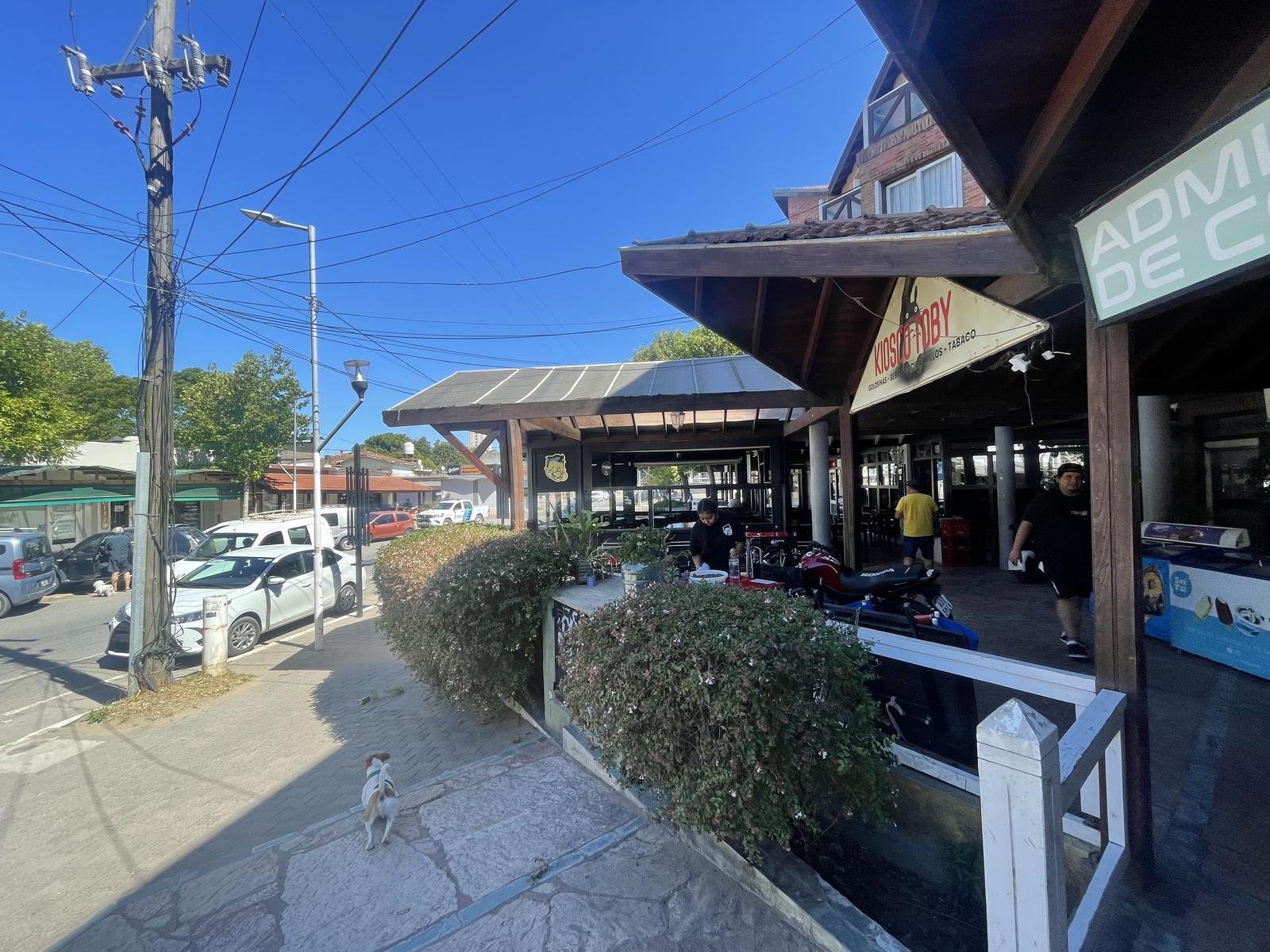 9def5f9101982fc5626d203df8512086