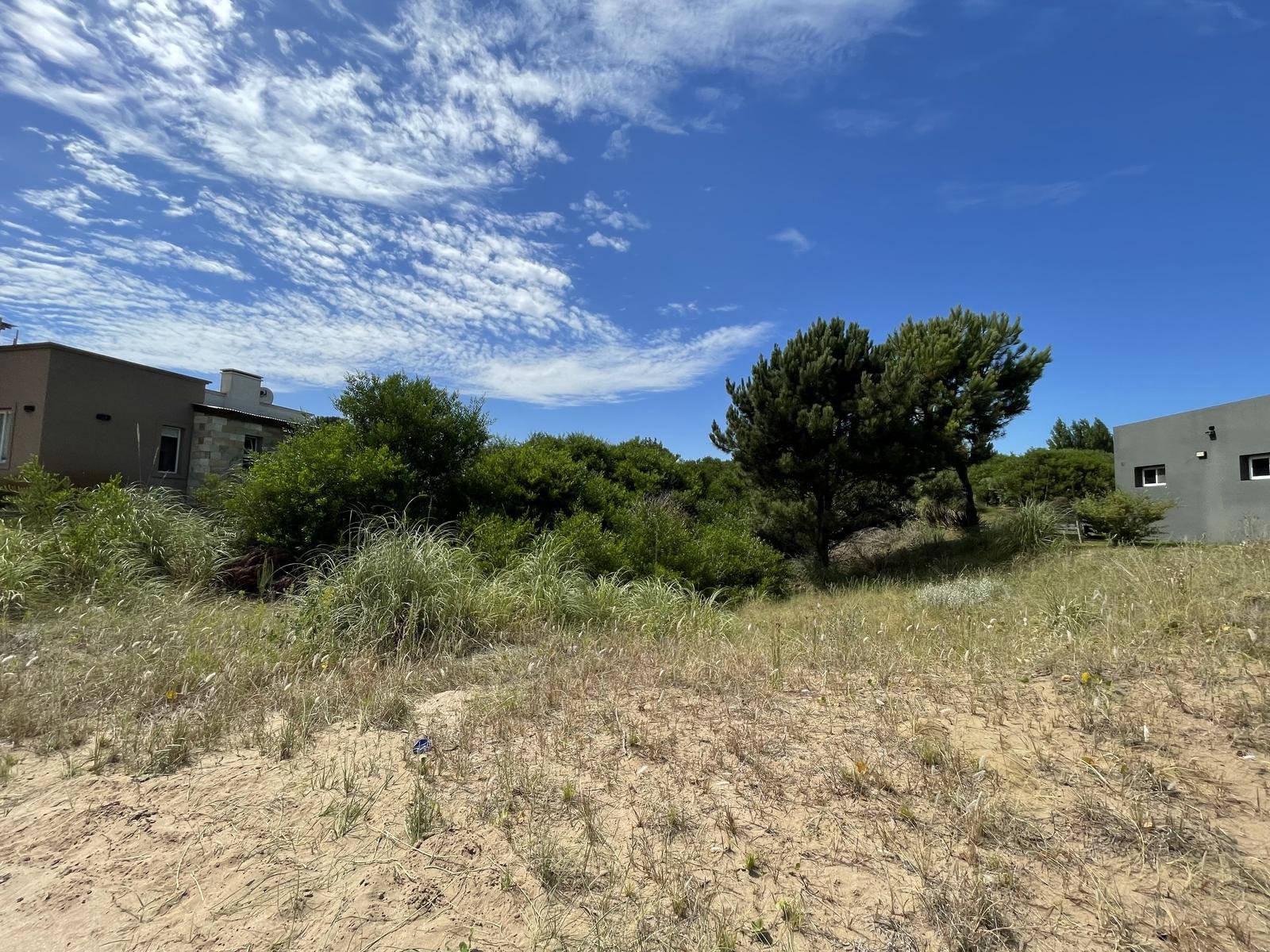 9e712344b3fe48855161ccd905aacd76