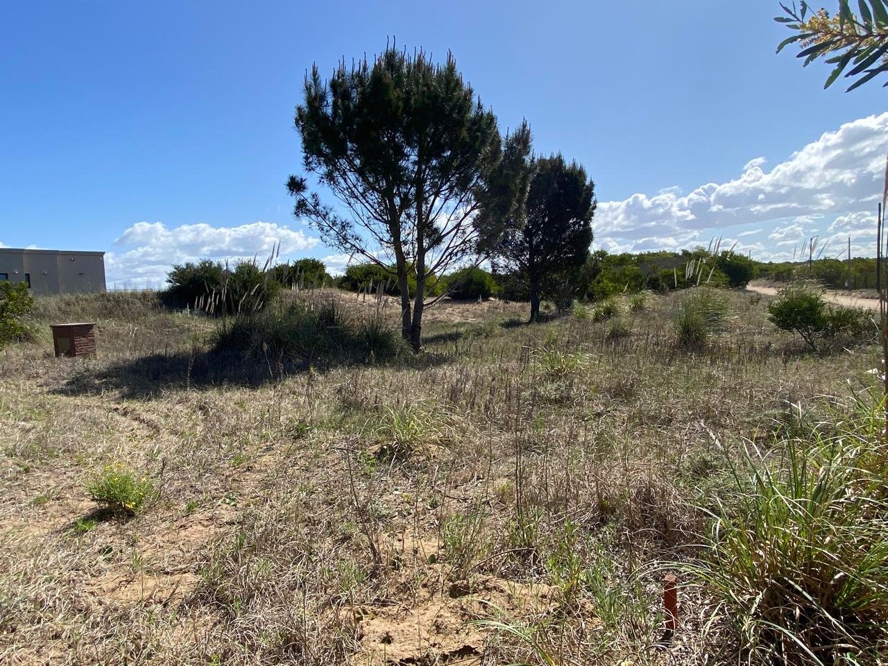 a0096d4c0c4c8708512e123ffd49d2f1