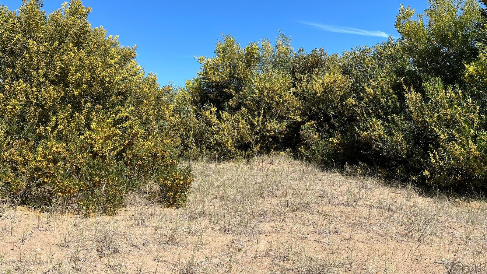 a0510665ab2847207d92e2b28a1b7028