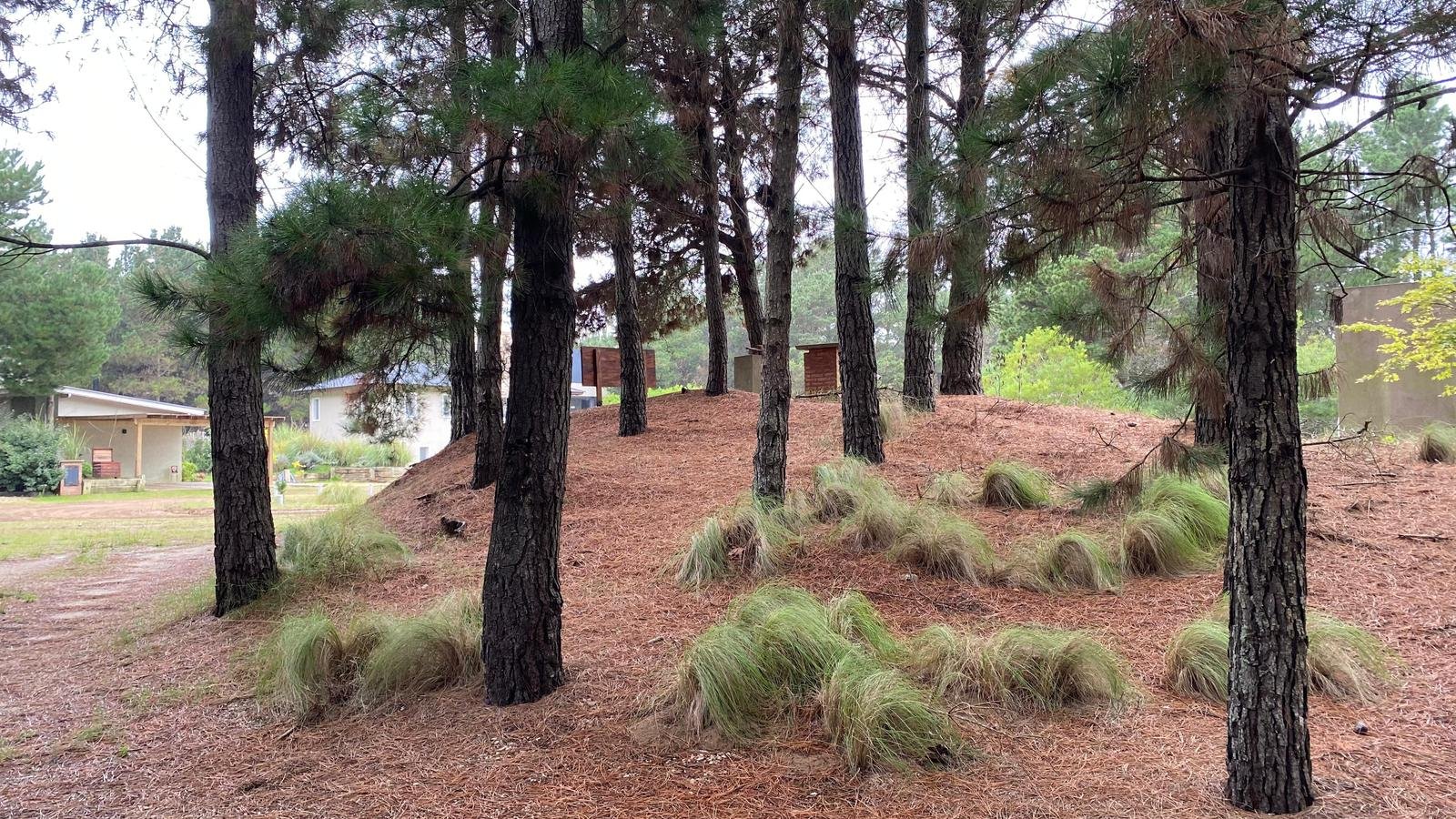 a06f6b4d1ecba2a0b5074e93c1c81250