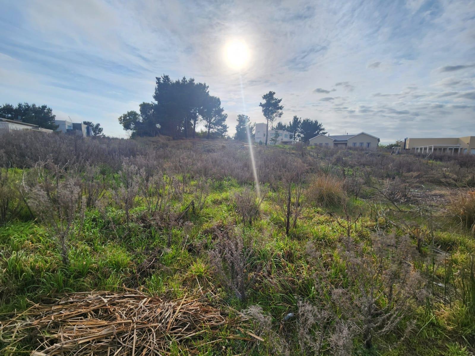 a159ce4f5682606f6e7ba882cd1d7eb7