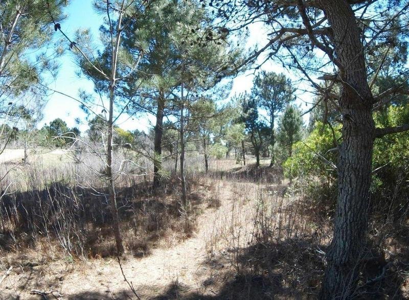 a19aab7adb494e8ceb771ed69f1d148e