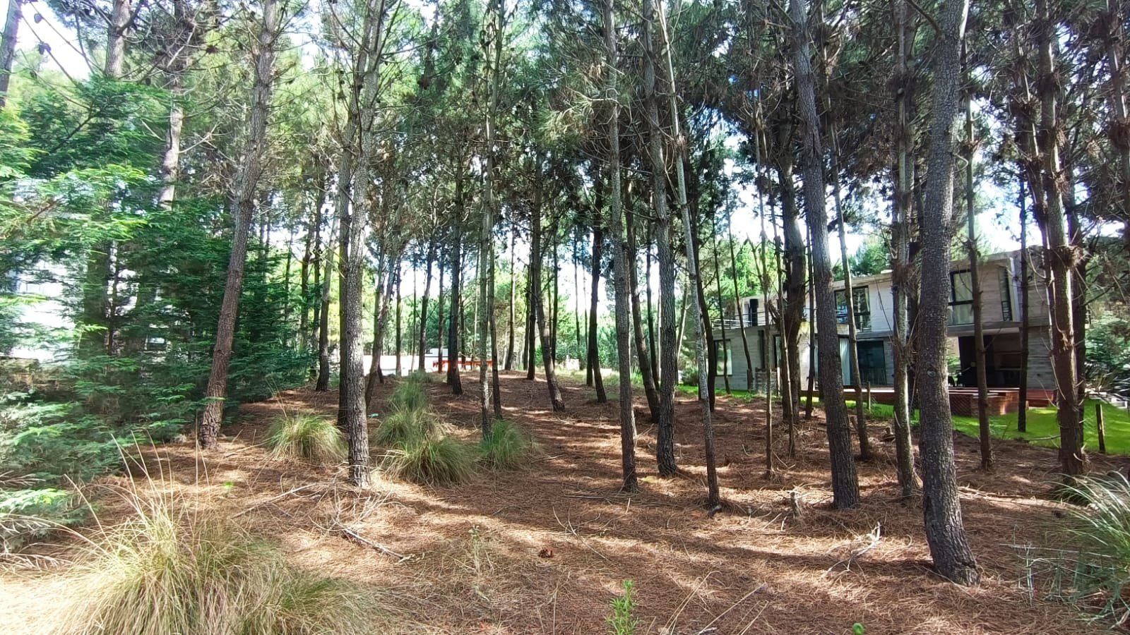 a48a009775b59a278f0c67fbd18dfdbe