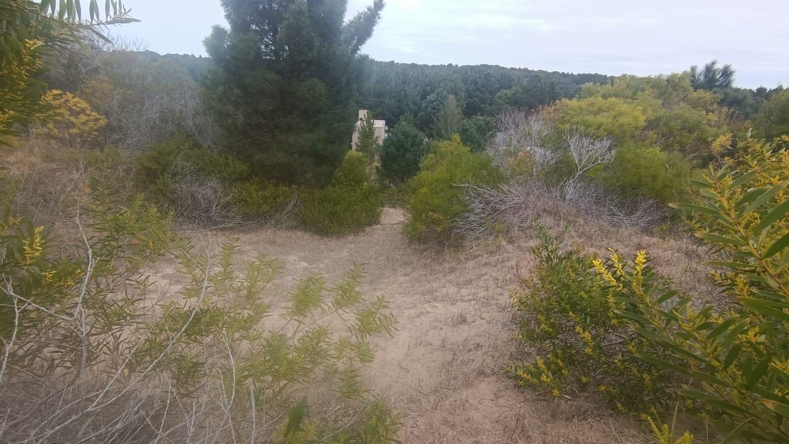 a61e0a4f29bd719cf962b0f14fc32833