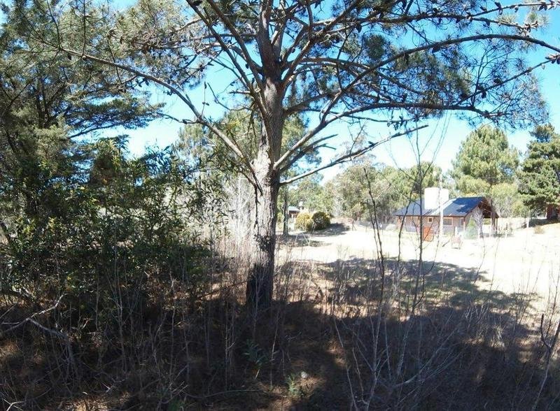 a6a09085ea8b03cd8c0bec8d188d7f32