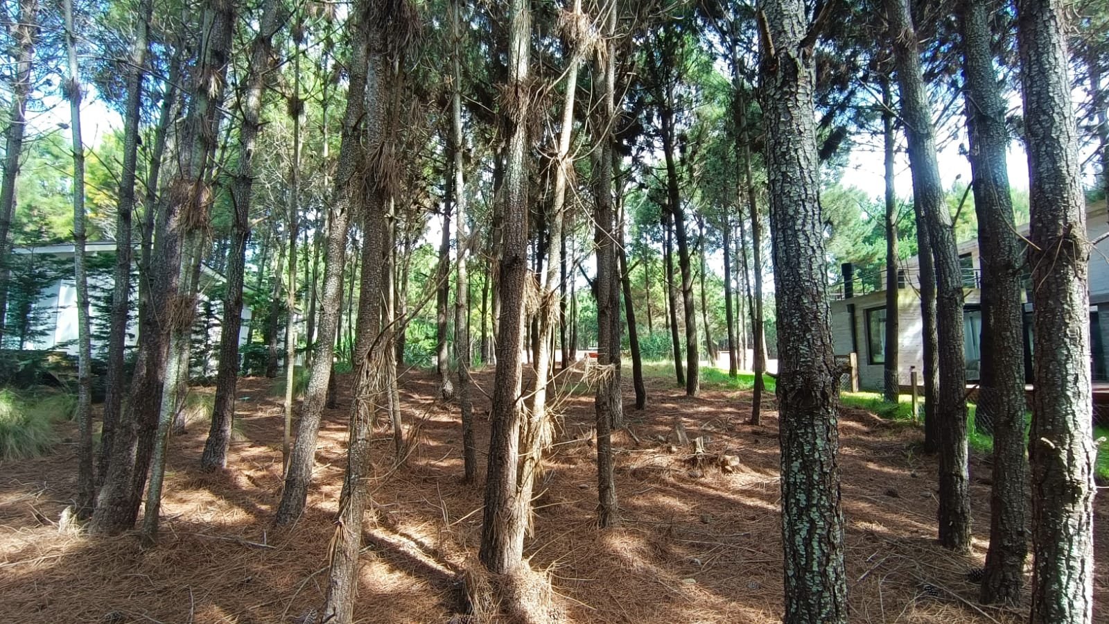 a7b93a3eead58dd3c21e0b55fd7fc51e