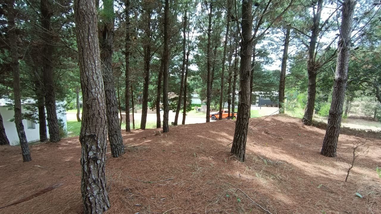 ab55ce2bda663d144ff7b7aa1542eafe