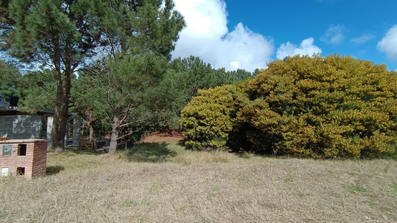 ab5f656e435f70312b5b49cc297d05df