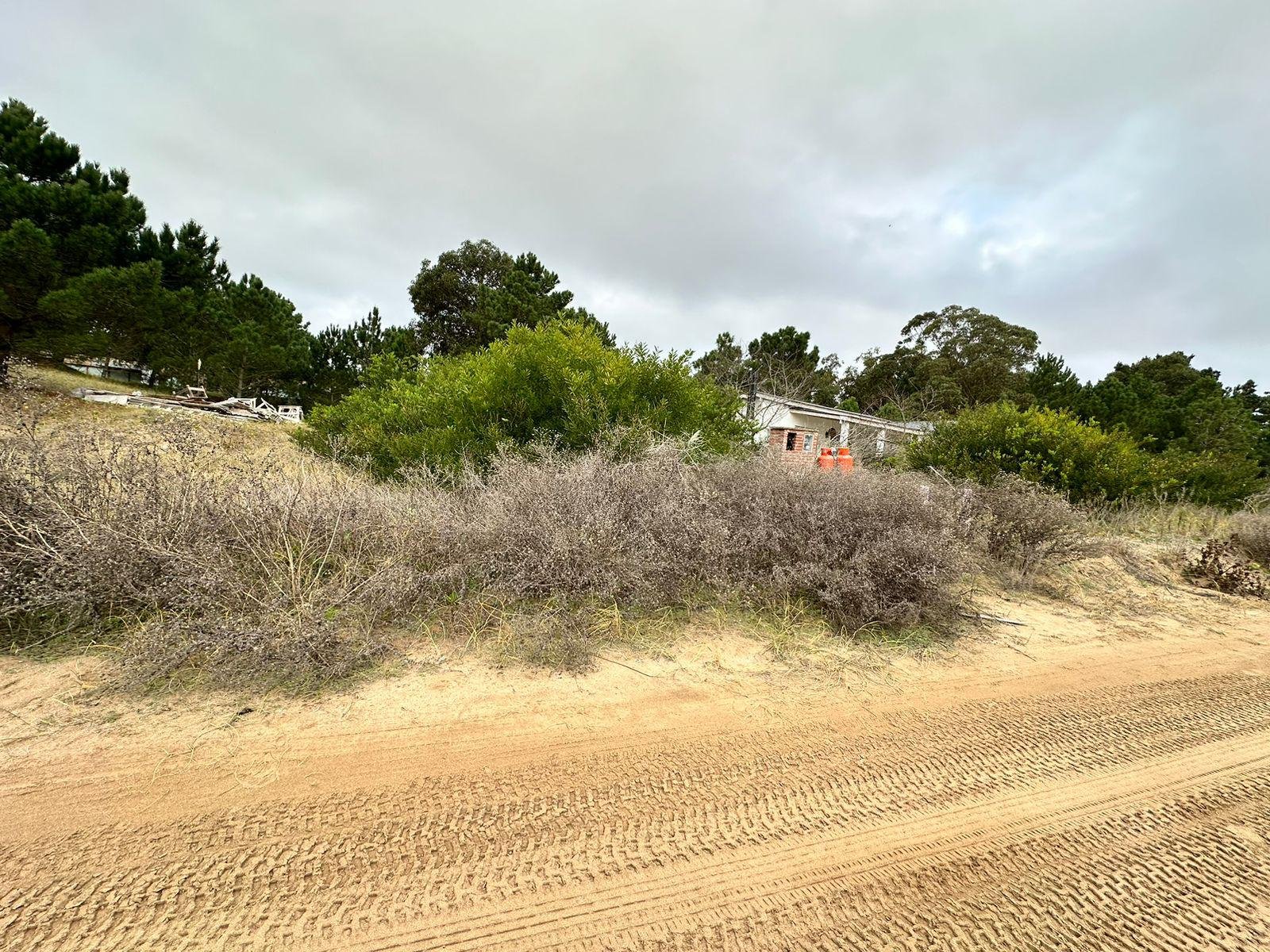 ac9d073c851aaf4acc92df70dd4237ff