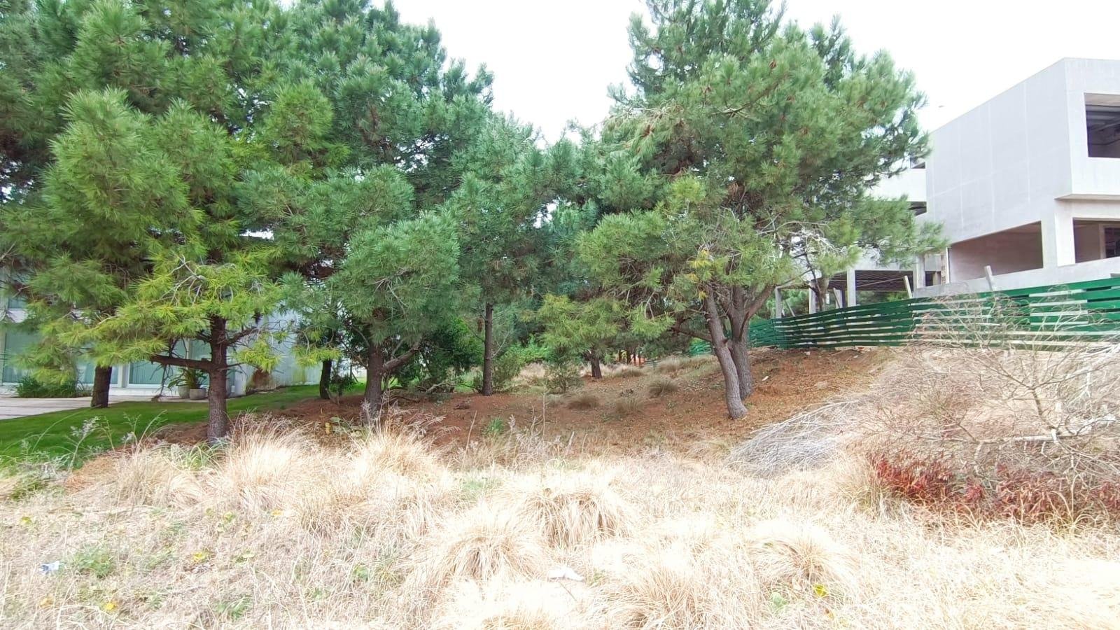 afd9667f58245dbb2dfbfcfaeeed6361