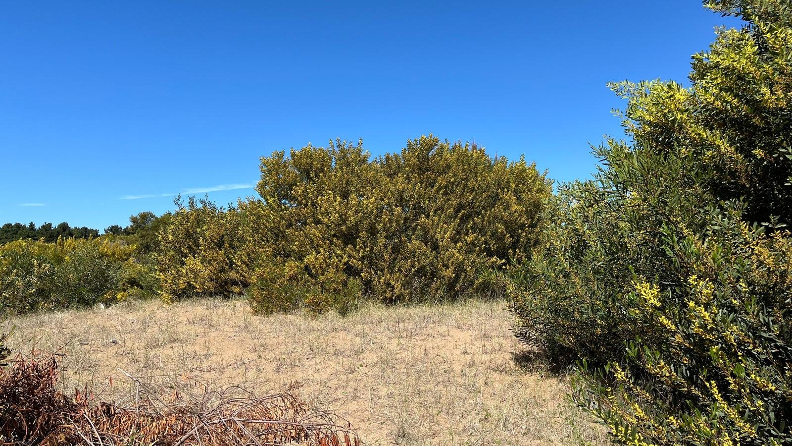 b0d67f77ab012b1e6f1a432c0bb54e42