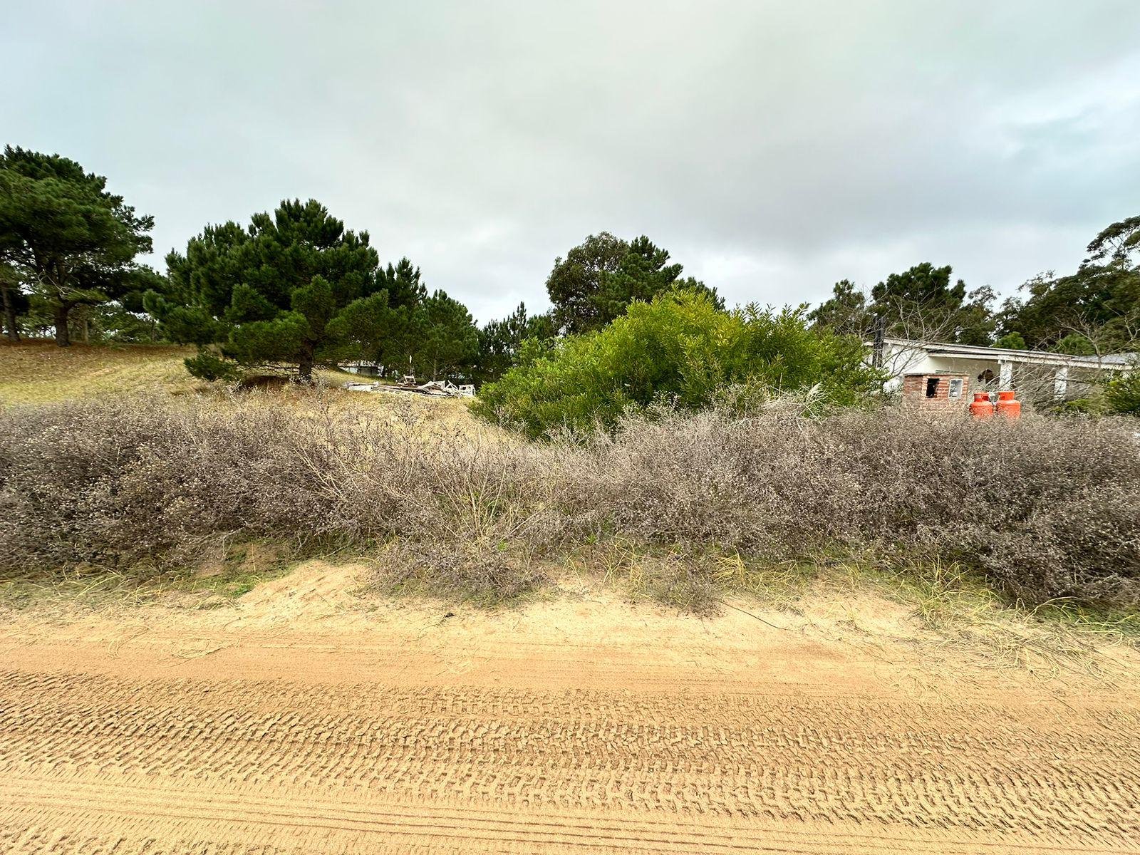 b1e38dfbf9d8f47126ca775f4af36c96