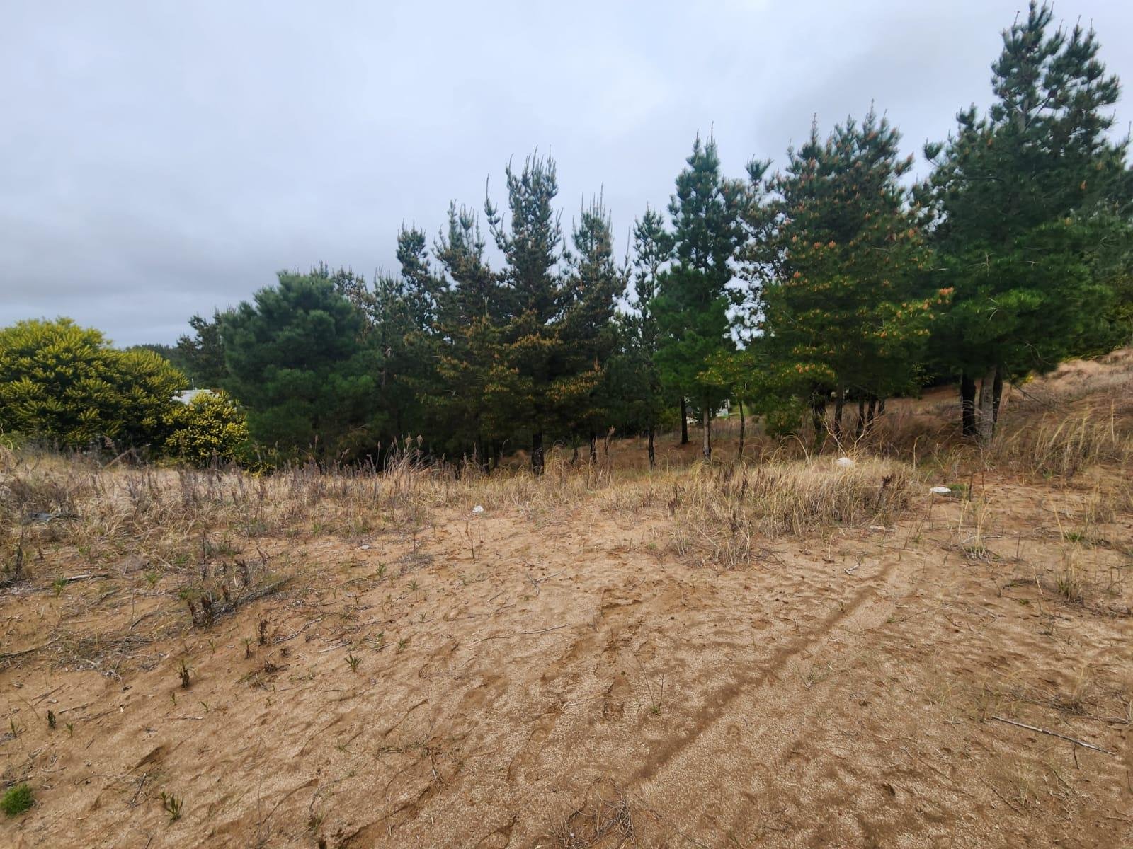 b5afdb3a0cc4e91ddf913e940a1a6d2c