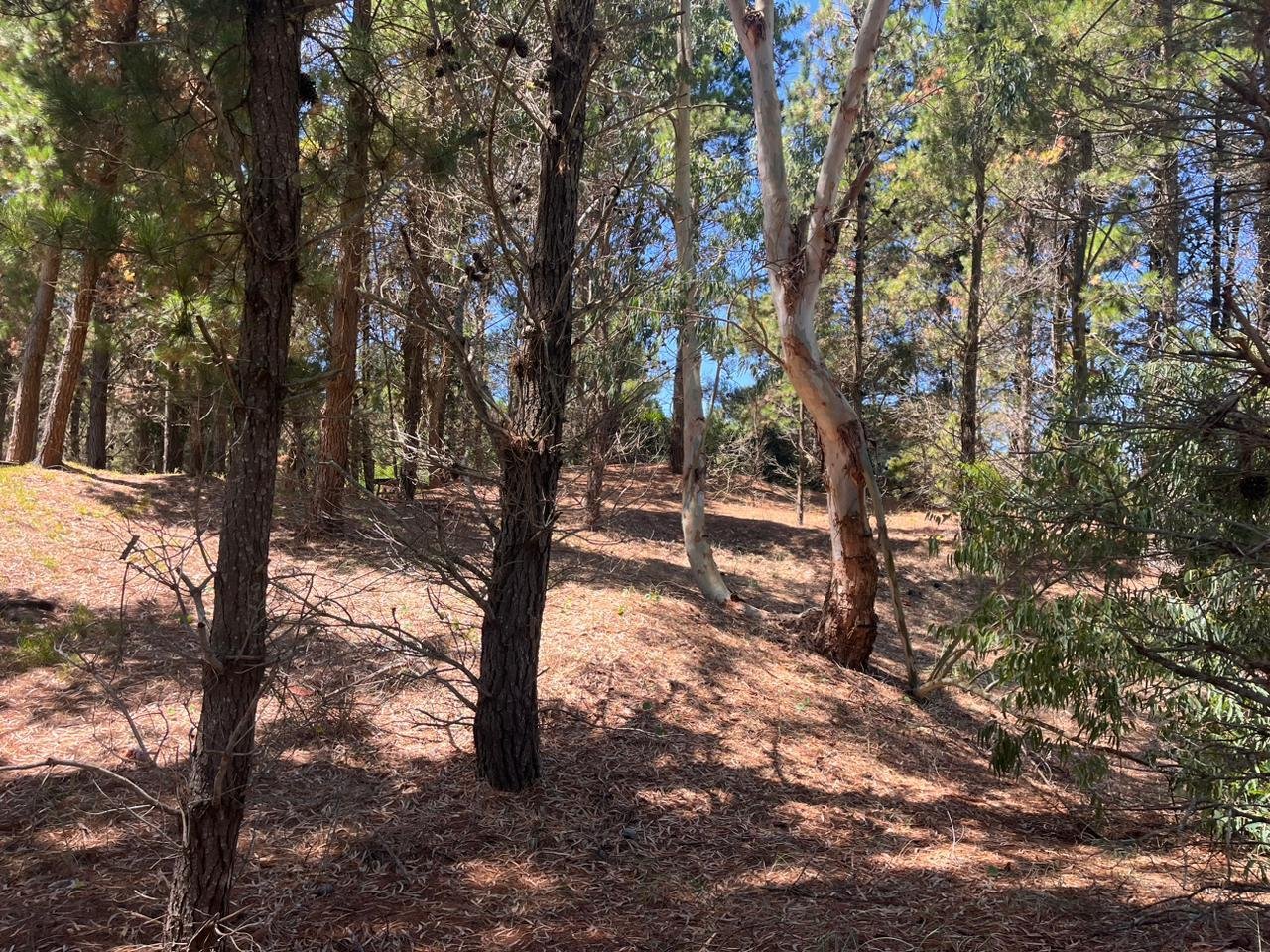 b5b15abdef7ef950f0751a0edbb9f206