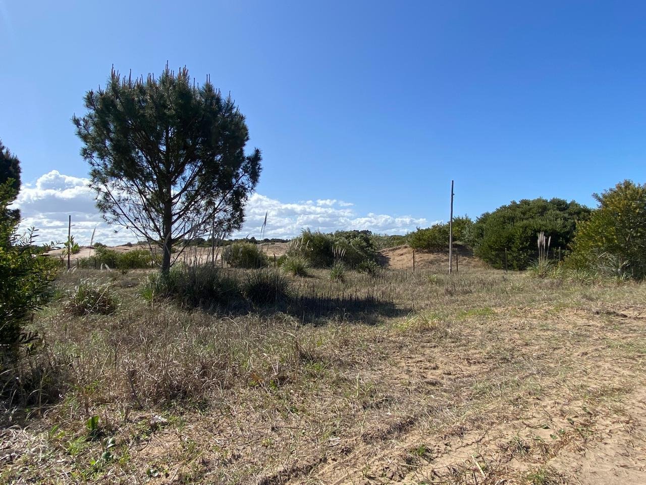 b5f4dde176c7a14ddaf6681abc1dadd6