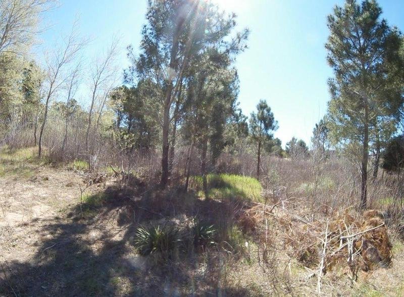 b7e320e80ac5ab13529d7e4e5a93f3fc