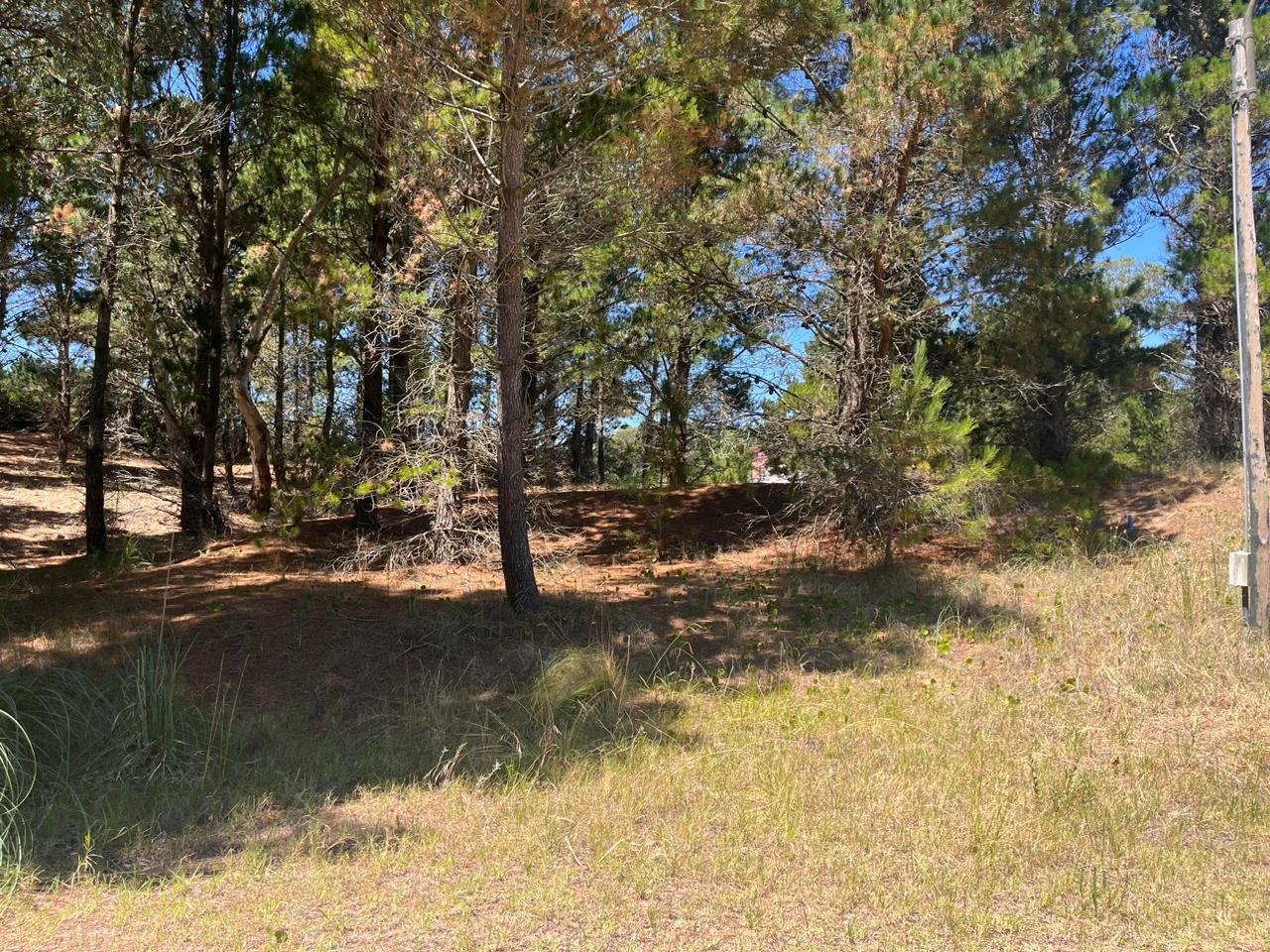 b91c4e36791057467464b114d340cf41