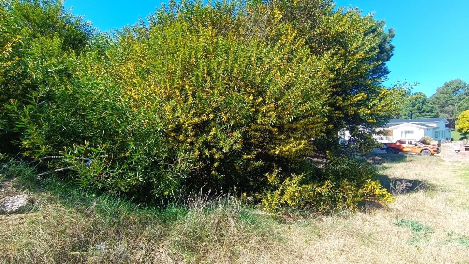 b9363a0566f2a4c979f413d15b388903