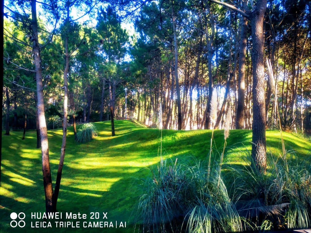 bbff9075b279c57bb59d80d6e0675df2