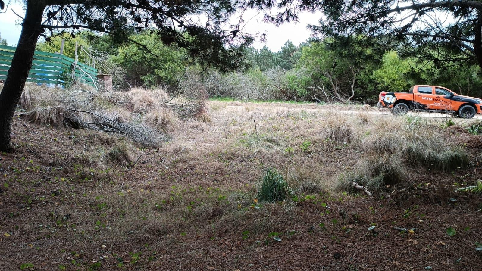 bde4719212e9dfc8b453dde367e23c27