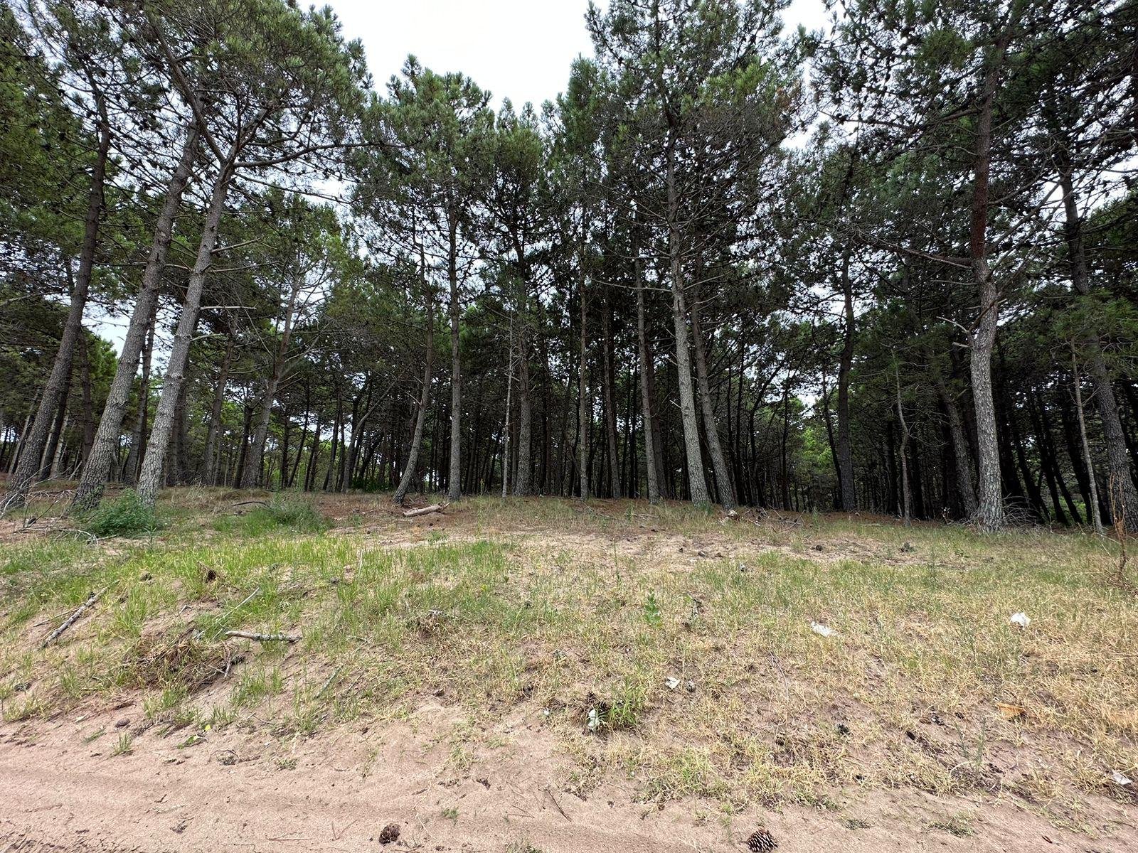 be4e8a171c0478bb76fd9b3b9111bc71