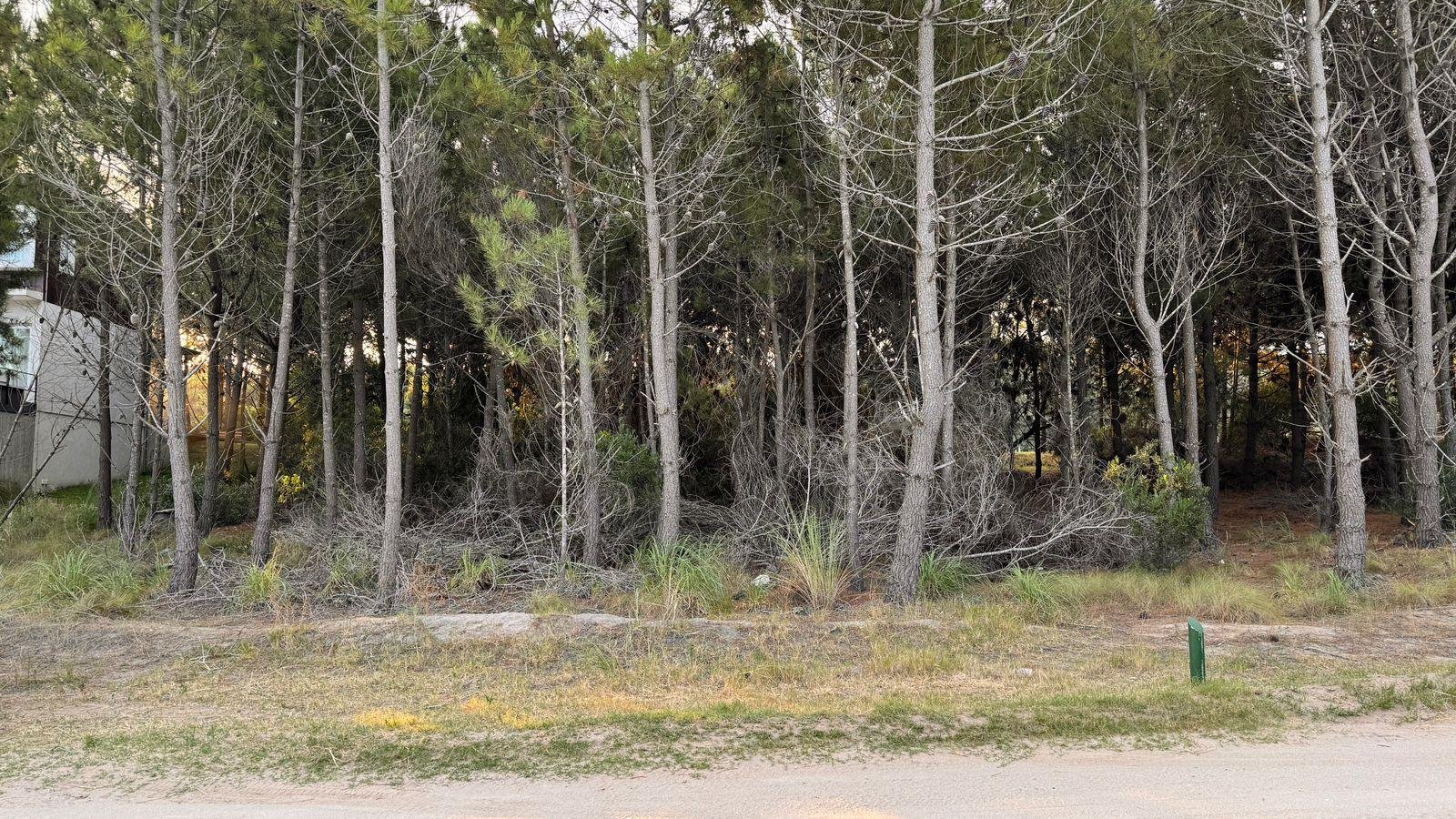 be7e26471de7cee23e951e3be0d4d7e7