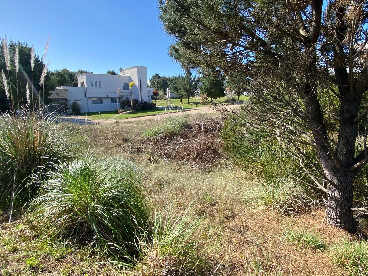 c14543e18acd5636fe4433cc11459390