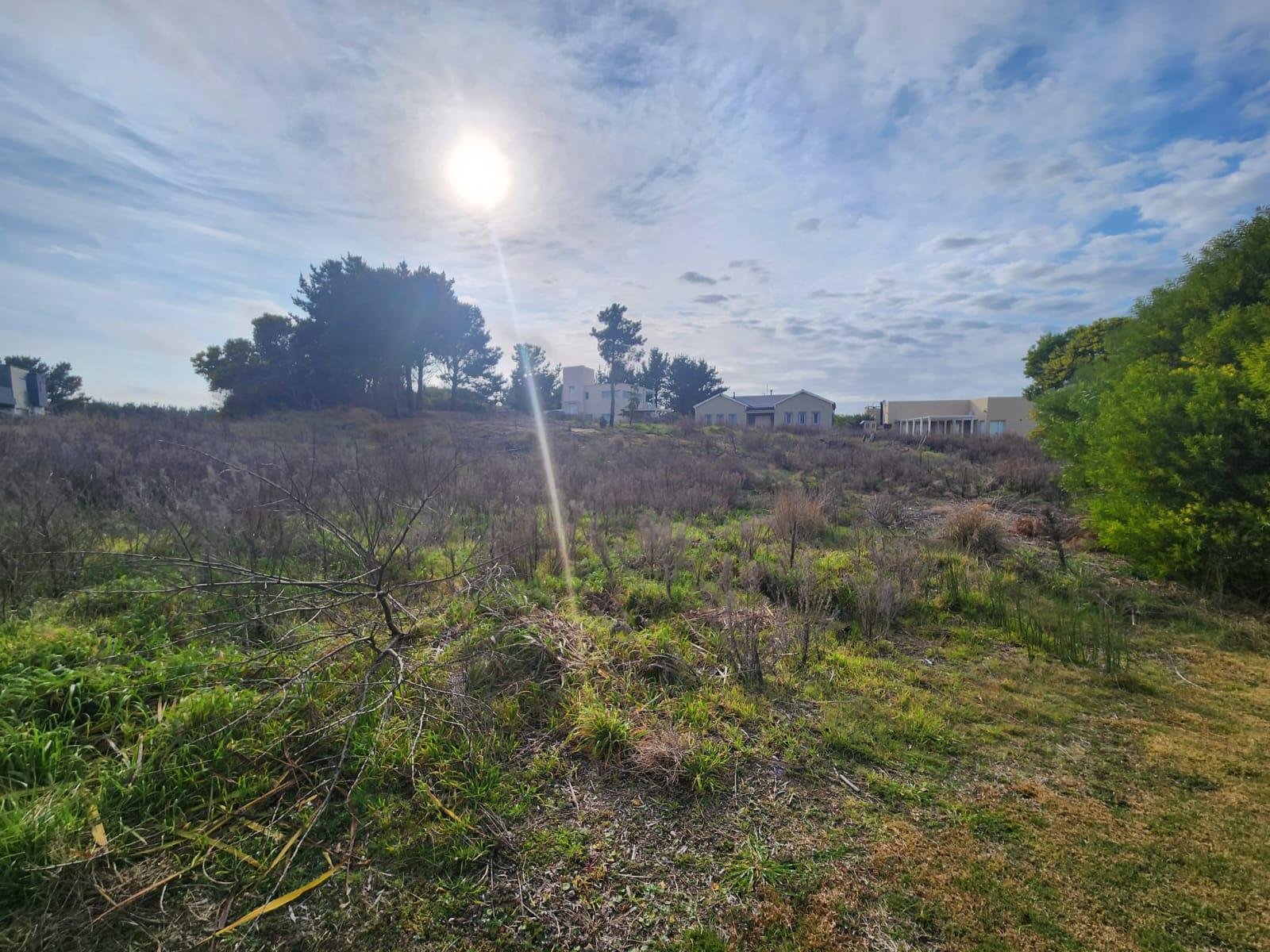 c35ae30609019408704a5bb7bf702d41