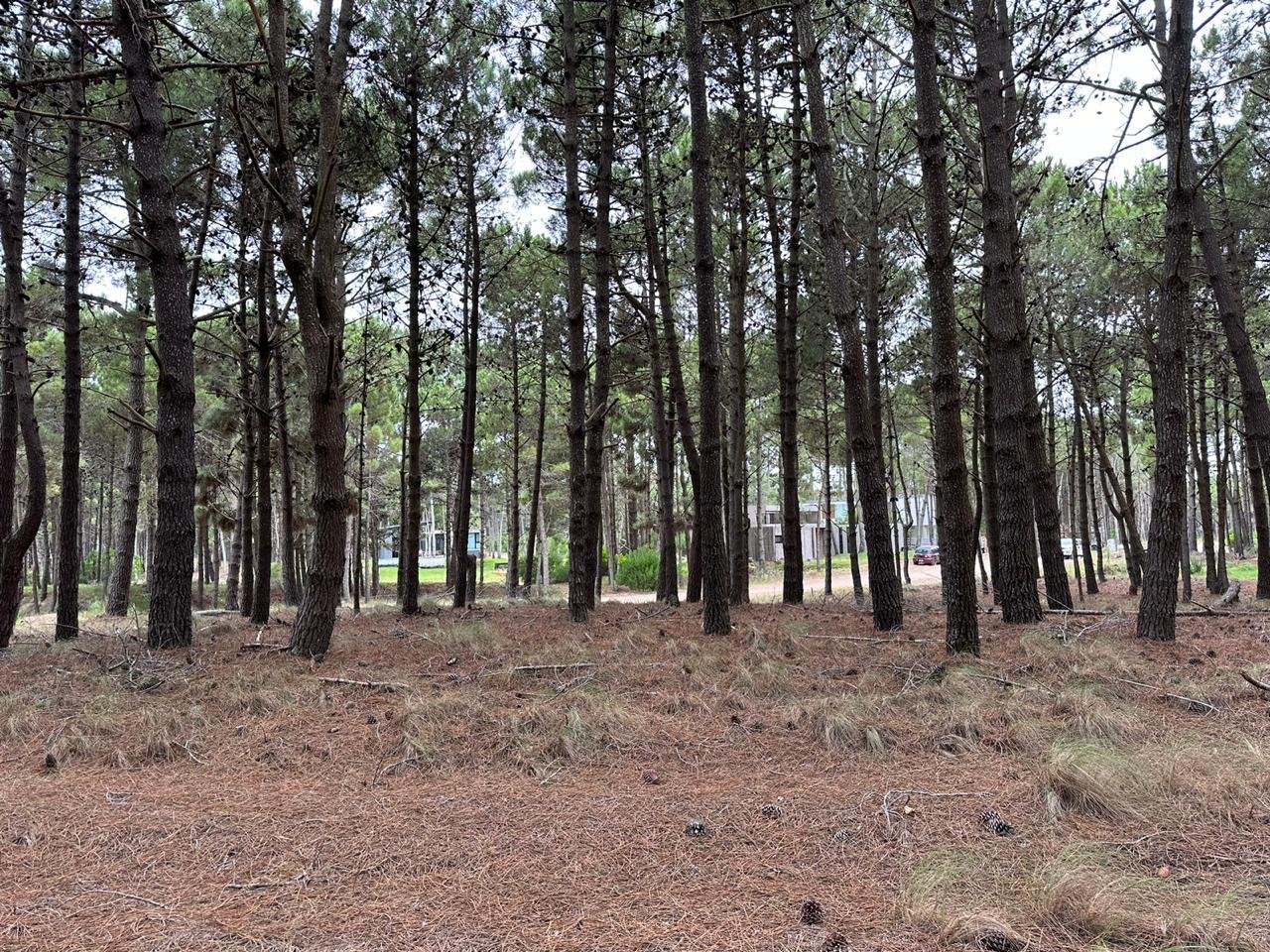 c363d555caa68f56314799e7b63ff180